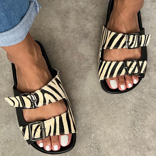GIGI ZEBRA